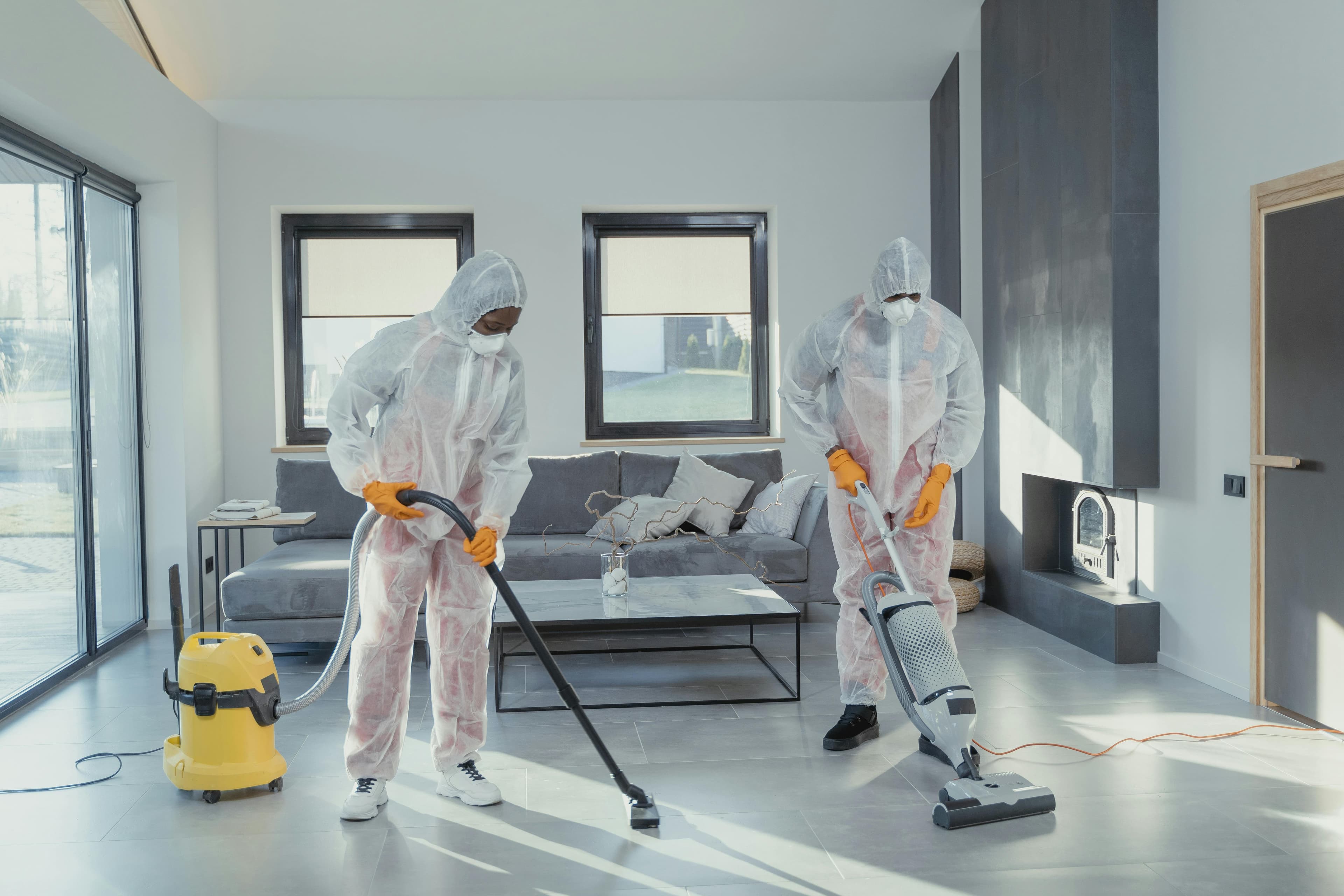 Professional cleaning team
